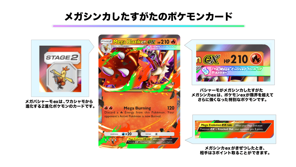 メガシンカポケモンexの特徴