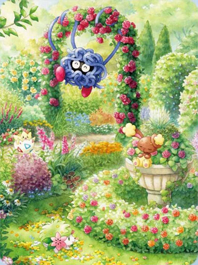 コレクションファイル（笑顔の花が咲いた園）