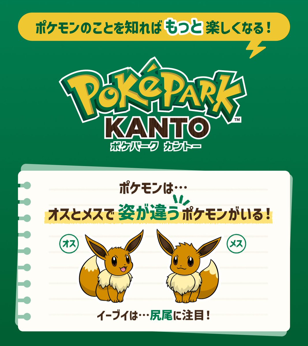 ポケパークカントーの魅力的な風景イラスト