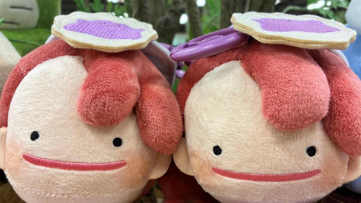 ぽこあポケモン明日発売！・プラコロ新バトル7月登場！・アニポケ可愛いポケモンシーン【2026年3月4日】