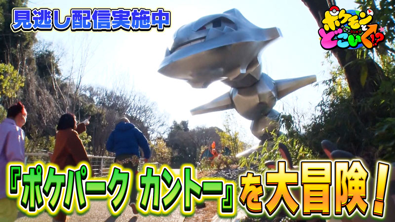 ポケパーク カントーのスペシャル回でマスターボールを探す様子