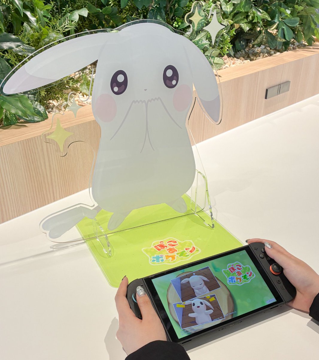 ぽこポケおもいでキャンペーンのアクスタ画像