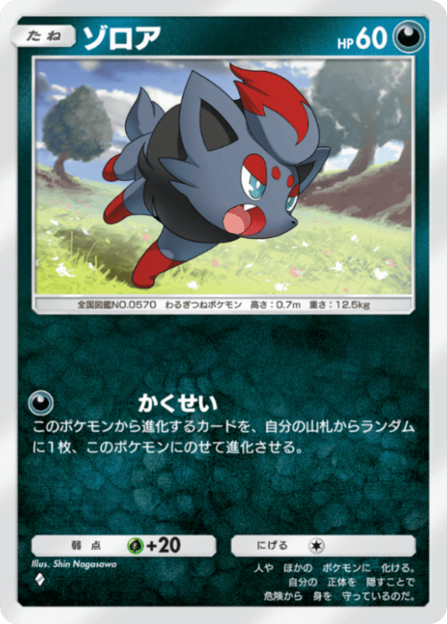 ゾロア