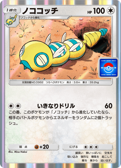 ノココッチ ノココッチ
