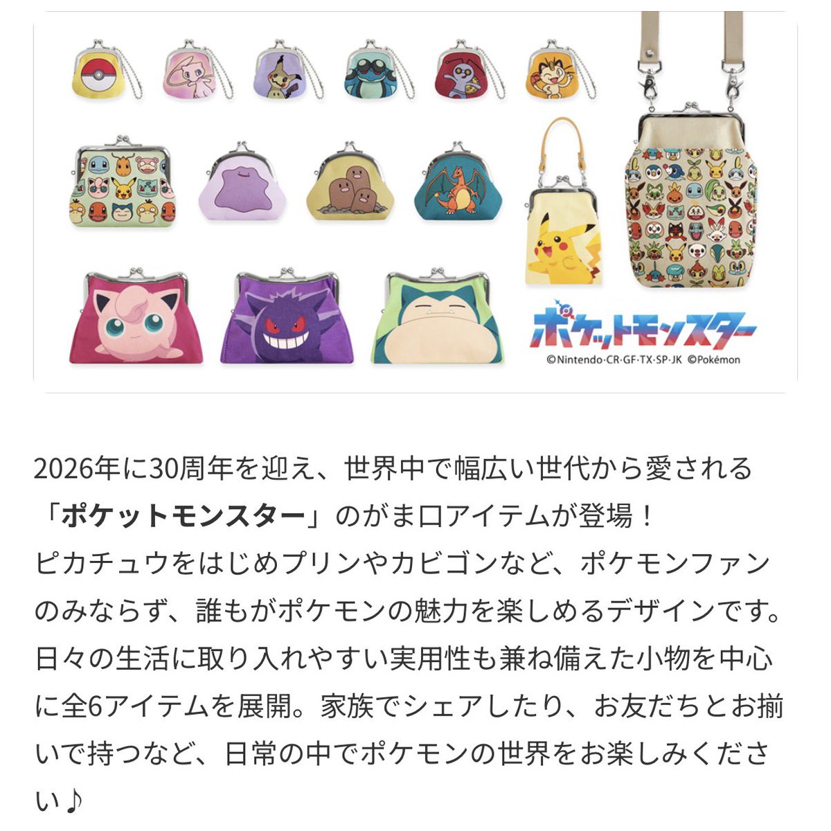 AYANOKOJI がまぐちコレクション 表面