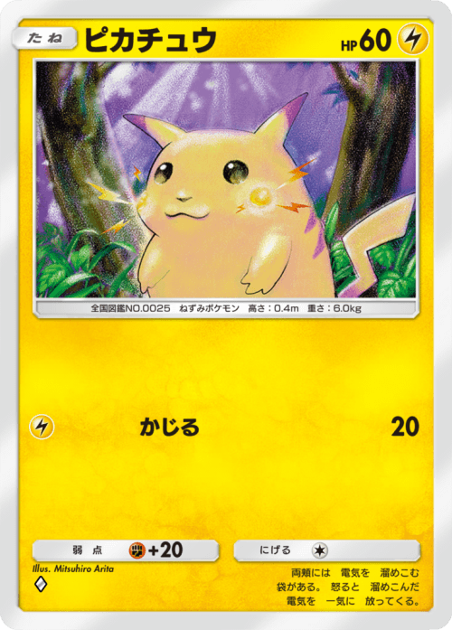 ピカチュウ ピカチュウ