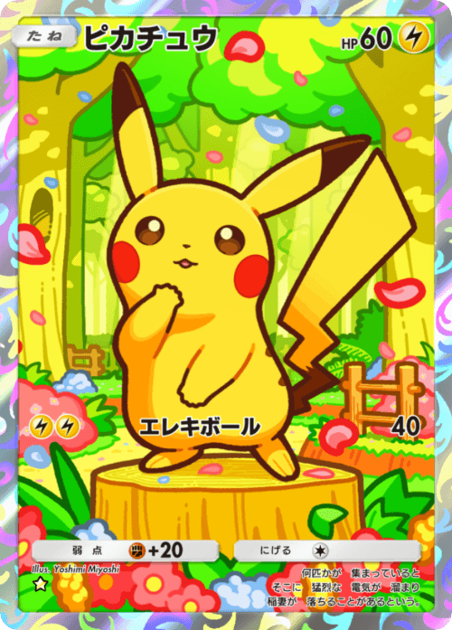 ピカチュウ ピカチュウ